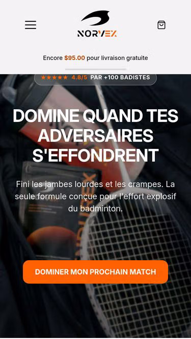Screenshot of norvex.ca