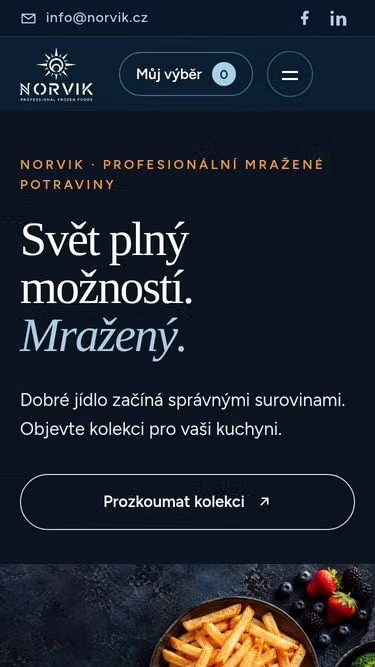 Screenshot of norvik.cz