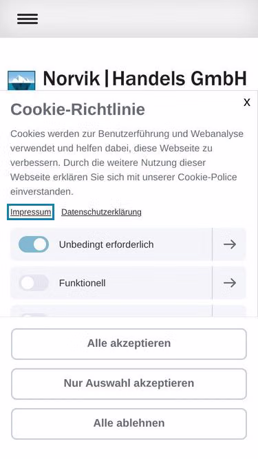 Screenshot of norvik.info