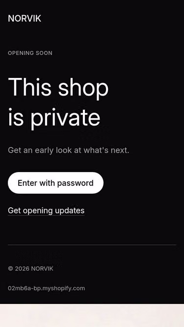 Screenshot of norvik.store