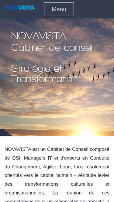 Screenshot of novavista.fr