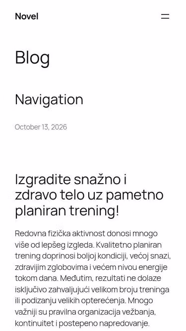 Screenshot of novel.rs