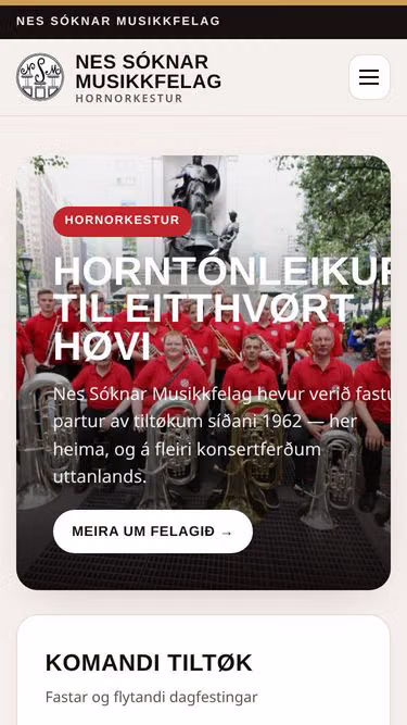 Screenshot of nsm.fo