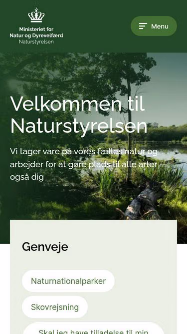 Screenshot of nst.dk