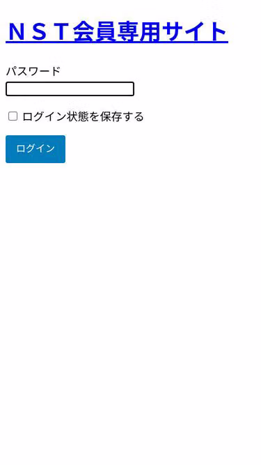 Screenshot of nst.tokyo