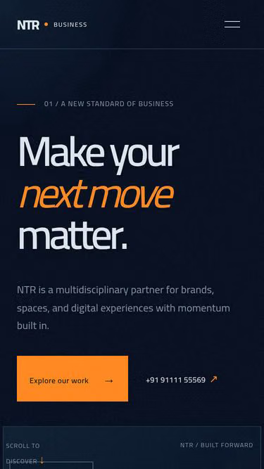 Screenshot of ntr.business
