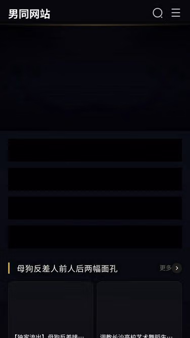 Screenshot of nty.wiki