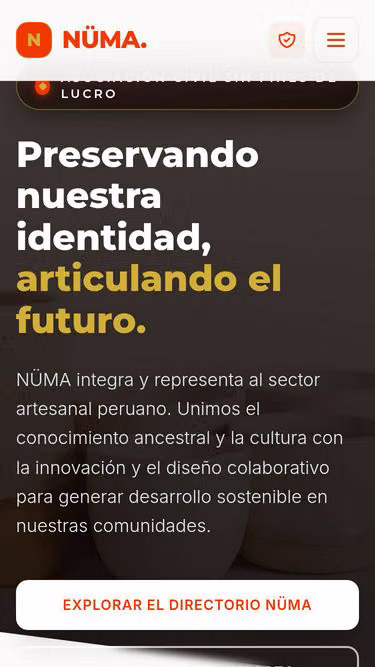 Screenshot of numa.org.pe