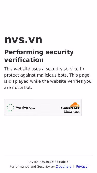 Screenshot of nvs.vn