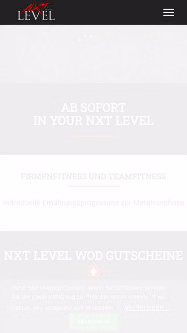Screenshot of nxtlevel.de