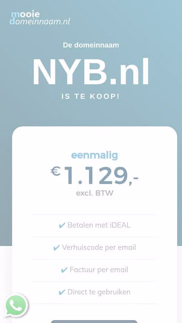 Screenshot of nyb.nl