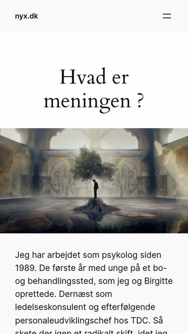 Screenshot of nyx.dk