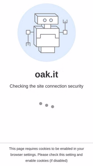 Screenshot of oak.it