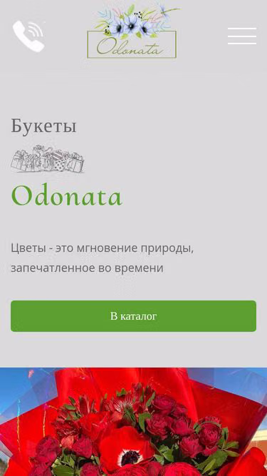 Screenshot of odonata.by