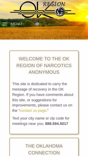 Screenshot of okna.org