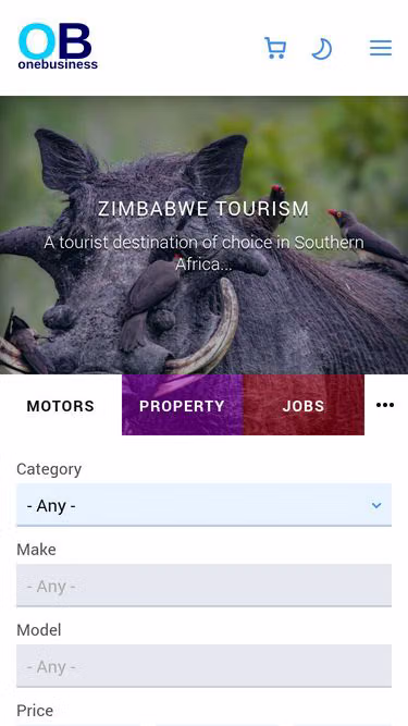 Screenshot of onebusiness.co.zw