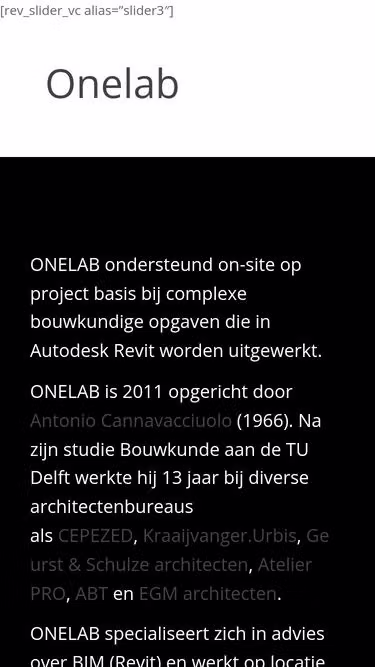 Screenshot of onelab.nl