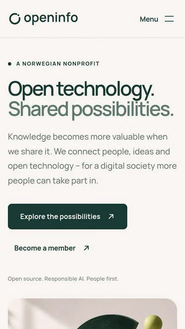 Screenshot of openinfo.no