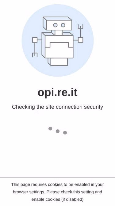 Screenshot of opi.re.it