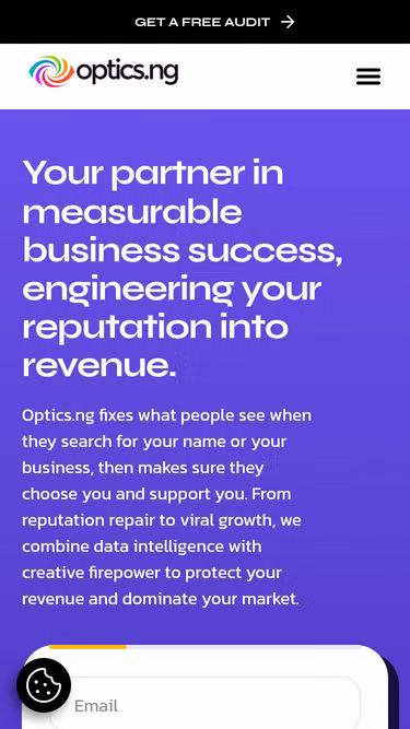 Screenshot of optics.ng