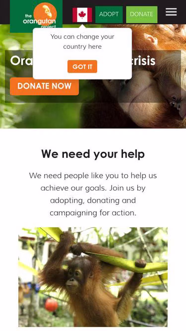 Screenshot of orangutan.org.nz