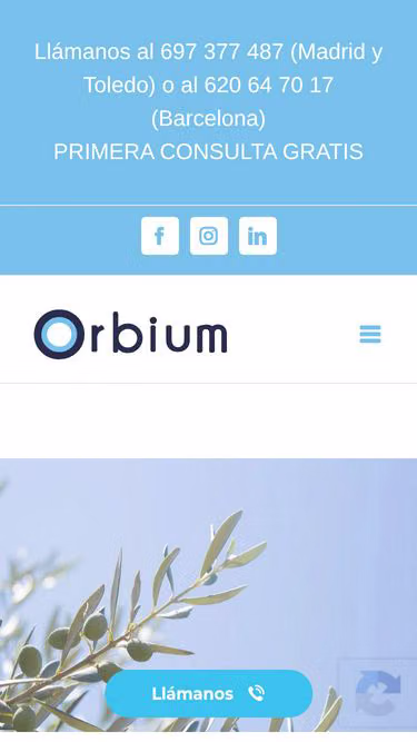 Screenshot of orbium.es