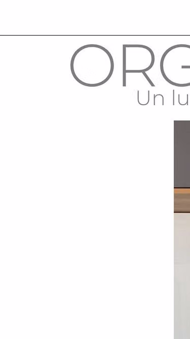 Screenshot of organiza.mx