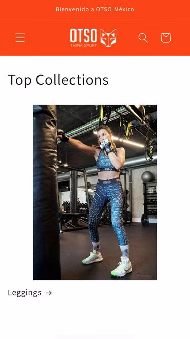 Screenshot of otso.com.mx