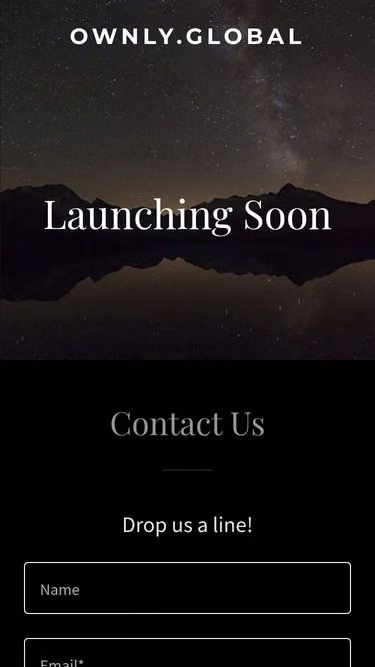 Screenshot of ownly.global