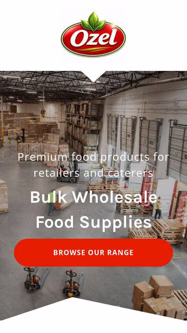 Screenshot of ozel.com.au