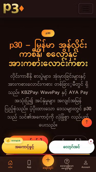 Screenshot of p30.online