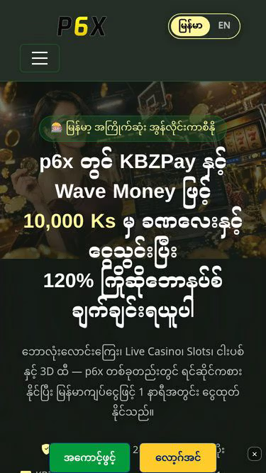 Screenshot of p6x.org