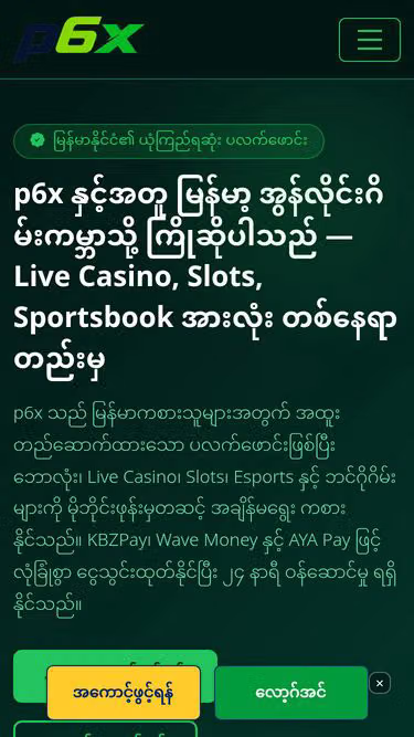 Screenshot of p6x.wine