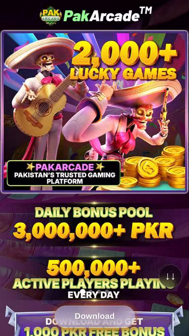 Screenshot of pakarcade.pro