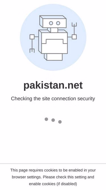 Screenshot of pakistan.net