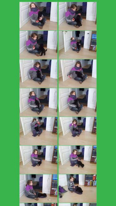 Screenshot of pakka.dk