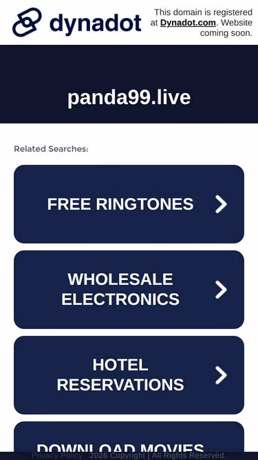 Screenshot of panda99.live