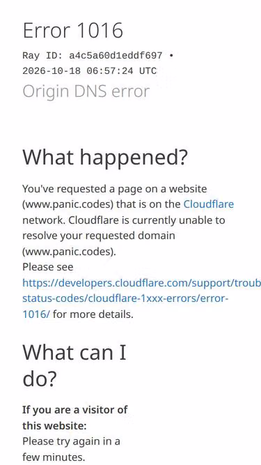 Screenshot of panic.codes