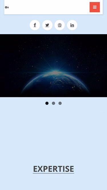 Screenshot of panterra.ro
