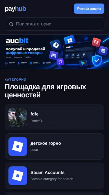 Screenshot of payhub.lol