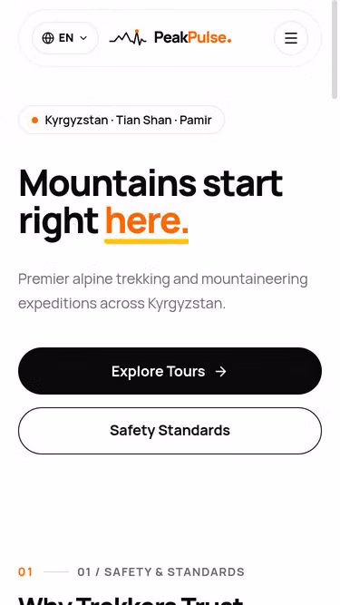 Screenshot of peakpulse.fun