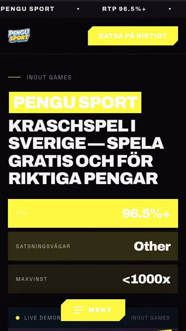 Screenshot of pengusport.se