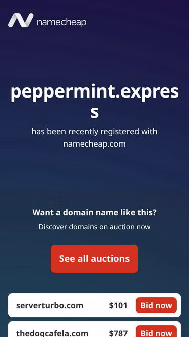 Screenshot of peppermint.express