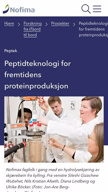 Screenshot of peptech.no