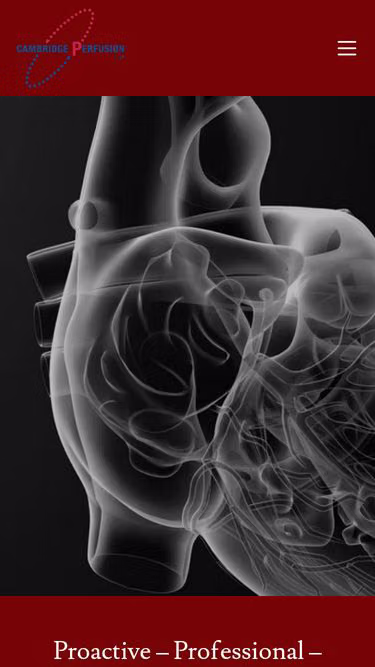 Screenshot of perfusion.uk