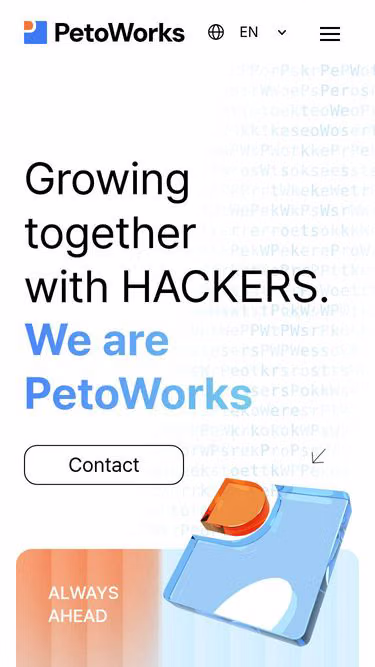 Screenshot of peto.works