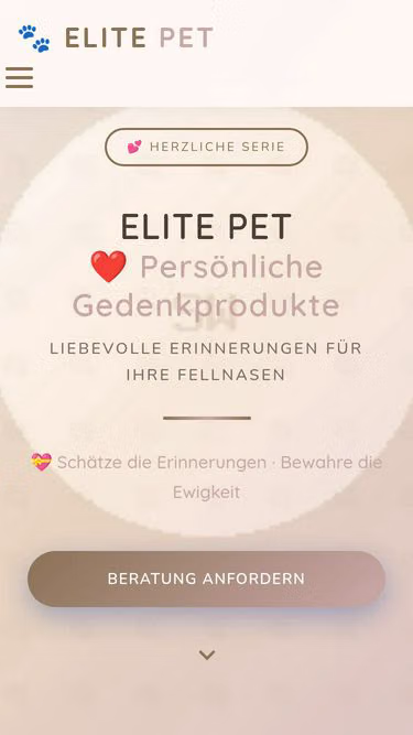 Screenshot of petportrait.cn