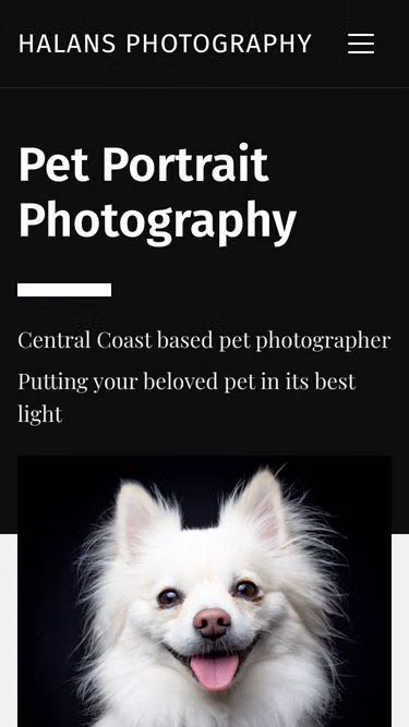 Screenshot of petportrait.photography