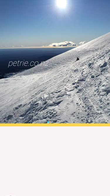 Screenshot of petrie.nz