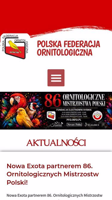 Screenshot of pfo.info.pl